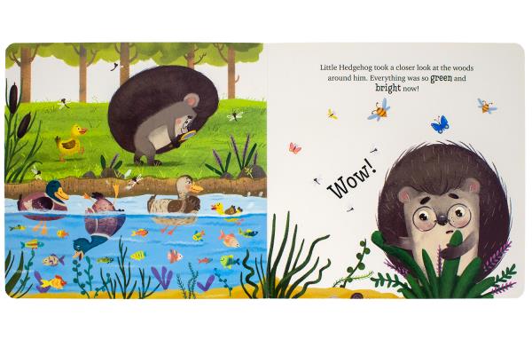 Summer With Little Hedgeh