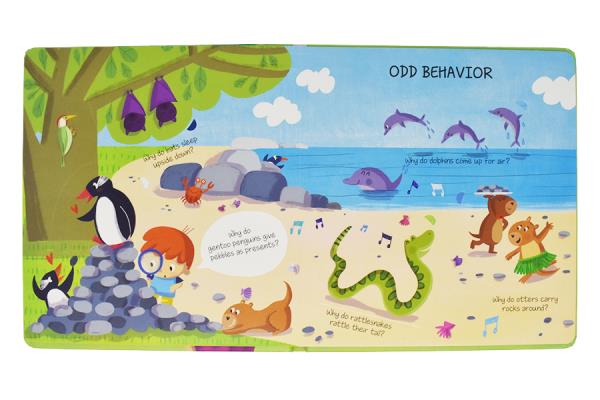 Animals Questions & Answe
