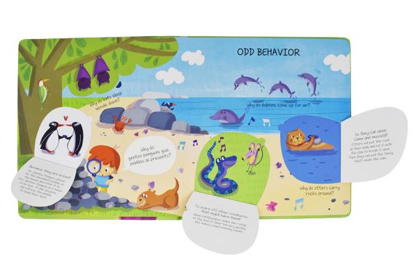 Animals Questions & Answe