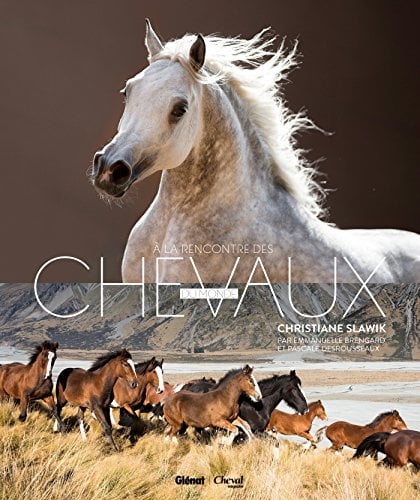 A La Rencountre Des Chevaux Du Monde
