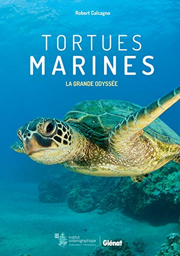Tortues Marines: :a Grande Odyssee