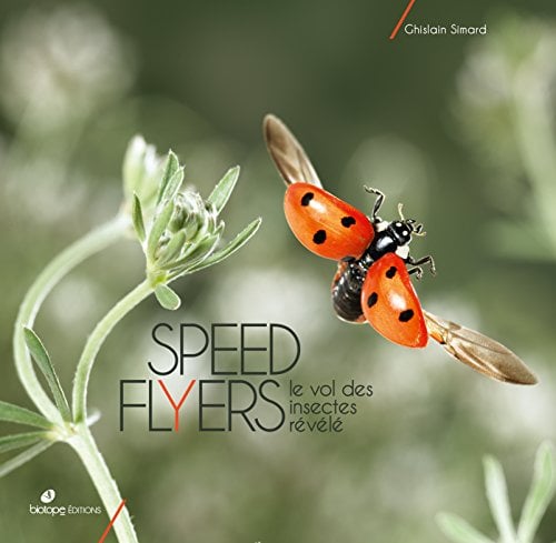 Speed Flyers: Le Vol Des Insectes Révélé