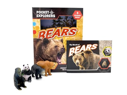 Bears: Discover Fun Facts About the World of Bears! (Pocket Explorers)
