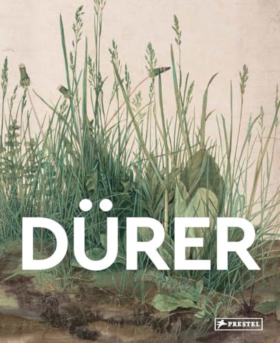 Dürer (Masters of Art)