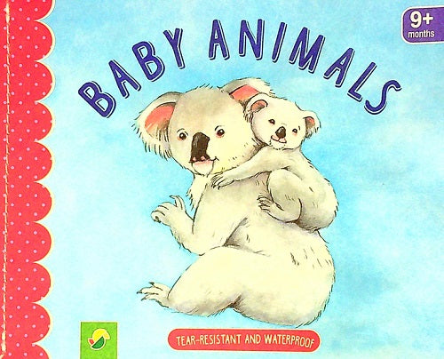 Baby Animals