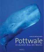 Pottwale: Im Dunklen Blau Des Meeres