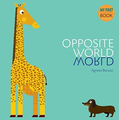 Opposite World (My First Book)