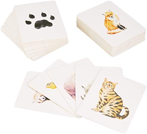 Dier & Sporen: Herken 25 Dieren Aan Hun Pootafdruk (Dutch Edition)